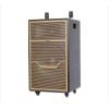 Loa Kéo SUMICO DSP2104 | Bass 4 Tấc (350W) Kèm 2 Micro