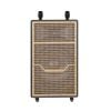 Loa Kéo SUMICO DSP2104 | Bass 4 Tấc (350W) Kèm 2 Micro