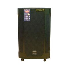  Loa kéo Temeisheng GD 12-13 (Bass 45cm, 600W, Kèm 2 micro, Pin 3-5h) 