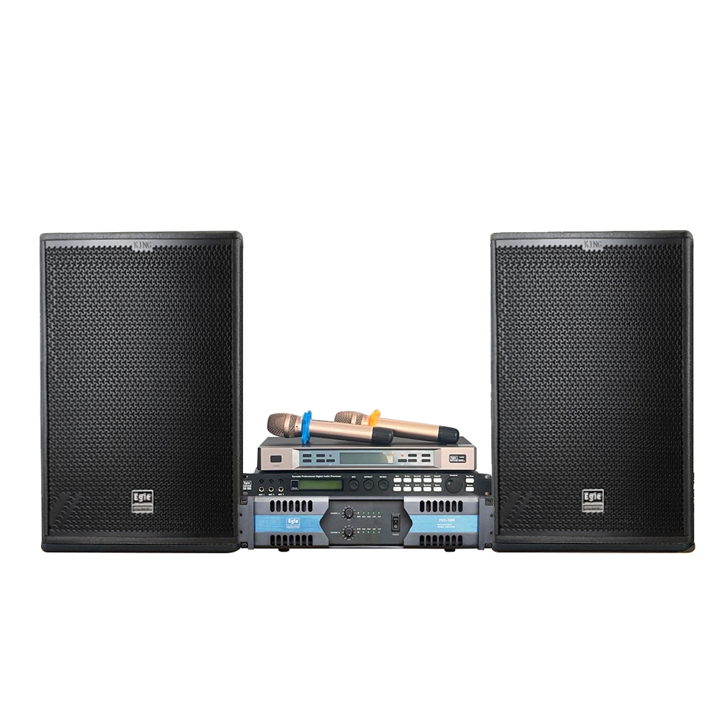 Ảnh minh họa Loa KINH-12PRO 1