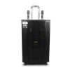 Loa Kiwi XT15, 800W, Bass 40cm, Kèm 2 Tay mic