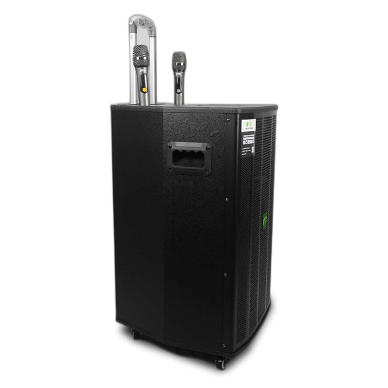 Ảnh minh họa Loa Kiwi XT15, 800W, Bass 40cm, Kèm 2 Tay mic 2