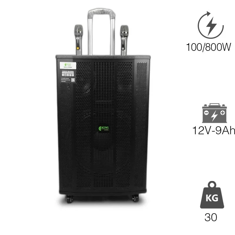 Loa Kiwi XT15, 800W, Bass 40cm, Kèm 2 Tay mic