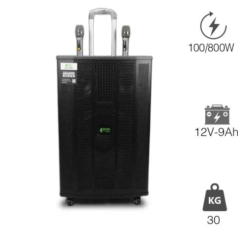 Loa Kiwi XT15, 800W, Bass 40cm, Kèm 2 Tay mic