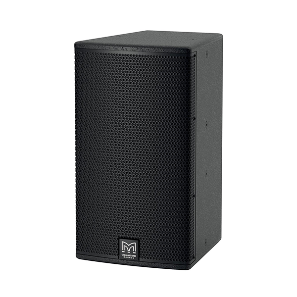 Ảnh minh họa Loa Martin V12 bass 30 V.Series 1