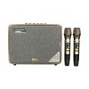 Loa Neko AMK-216, Bluetooth, AUX, Kèm 2 Tay Mic
