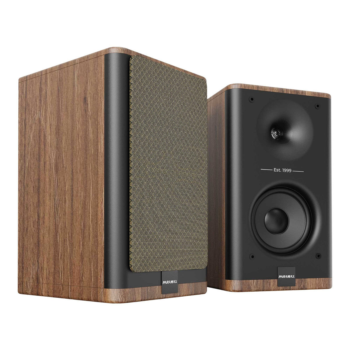 Ảnh minh họa Loa Paramax Homi 6 Smart 2