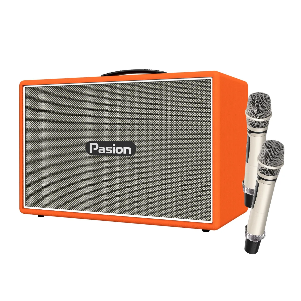 Ảnh minh họa Loa Pasion Outro (300W, Kèm 2 Micro) 2