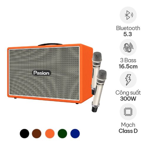 Loa Pasion Outro (300W, Kèm 2 Micro)