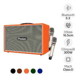  Loa Pasion Outro (300W, Kèm 2 Micro) 