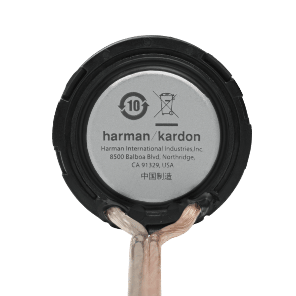 Ảnh minh họa Loa Phân Tần Lắp Trên Xe ô tô Harman/kardon FLOW75T 2