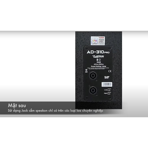 Ảnh minh họa Loa Platinum AD-310 Pro 2
