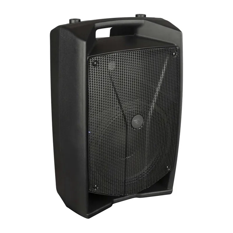 Ảnh minh họa Loa Proel V10 Pro (Active, Bass 25.4 cm, Công suất 600W, DSP, XLR) 1
