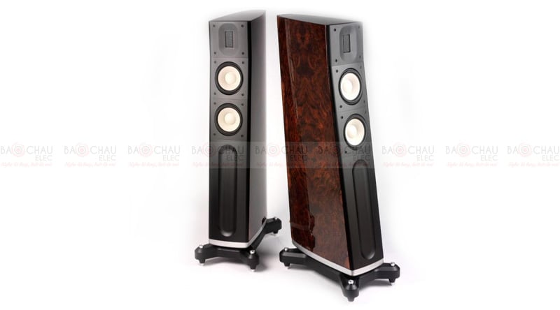 Ảnh minh họa Loa Raidho C-2.2 1