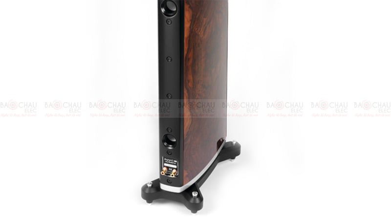 Ảnh minh họa Loa Raidho C-3.2 1