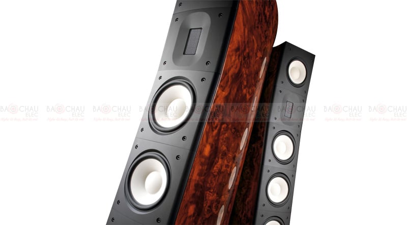 Ảnh minh họa Loa Raidho C-3.2 2