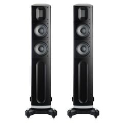  Loa Raidho D2.1 (Độ nhạy 89dB, Tần số 40Hz-50KHz) 