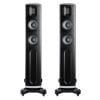 Loa Raidho D2.1 (Độ nhạy 89dB, Tần số 40Hz-50KHz)