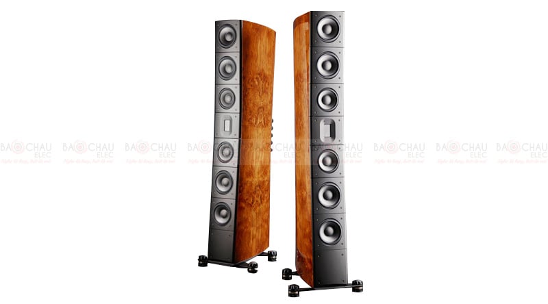 Ảnh minh họa Loa Raidho TD-4.2 1