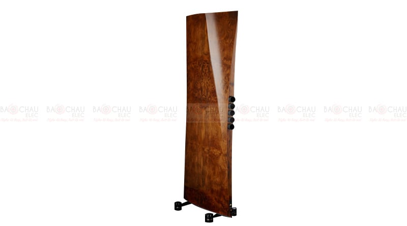 Ảnh minh họa Loa Raidho TD-4.2 2