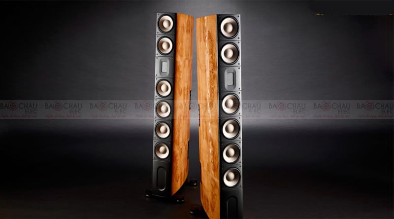 Ảnh minh họa Loa Raidho XT5 3
