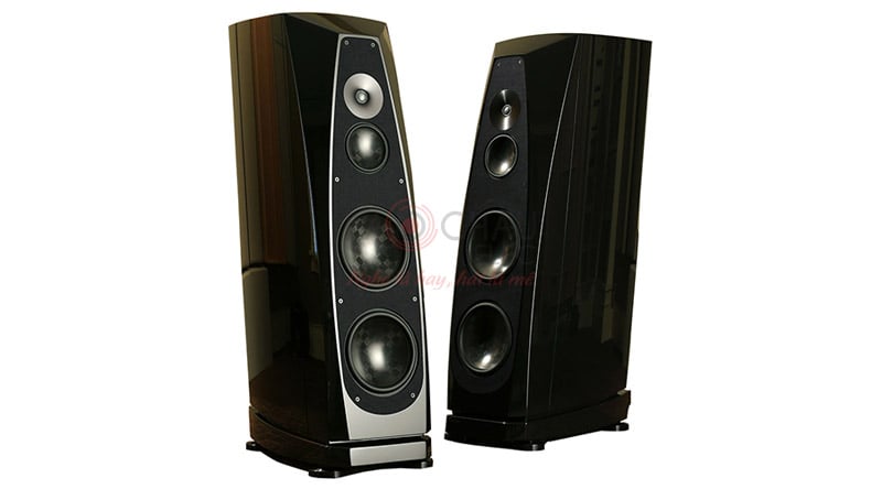 Ảnh minh họa Loa Rockport Cygnus 1