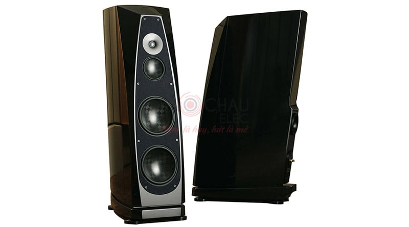Ảnh minh họa Loa Rockport Cygnus 2