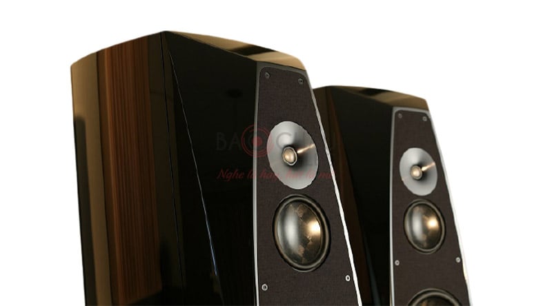 Ảnh minh họa Loa Rockport Cygnus 3