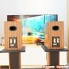 Loa Ruark Sabre-R, Tần số 50Hz – 20kHz, Độ nhạy 86dB