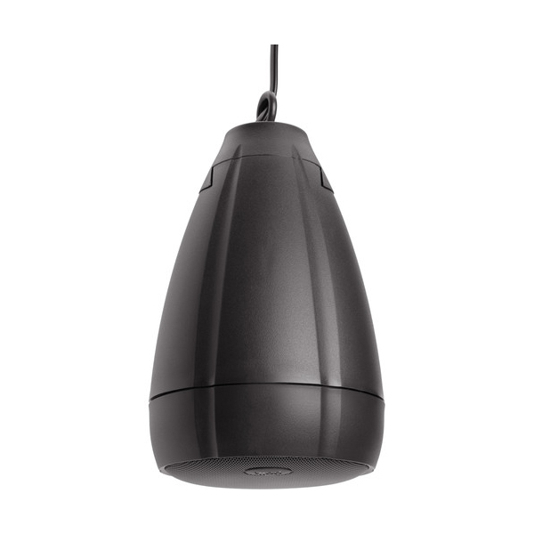 Ảnh minh họa Loa sân vườn POLK ATRIUM 300SAT 2