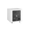 Loa sub Dali E-9 F, Công suất 170/220W