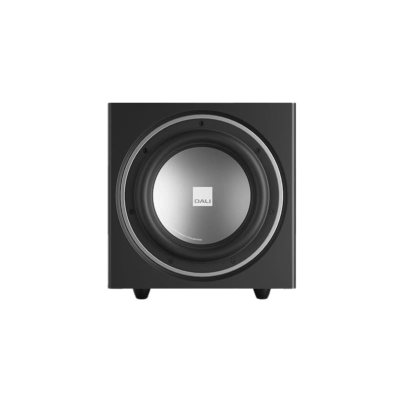 Loa sub Dali E-9 F, Công suất 170/220W