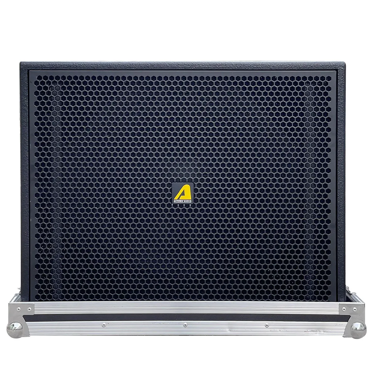 Ảnh minh họa Loa sub đơn 50 từ neo Actpro AS18N 3