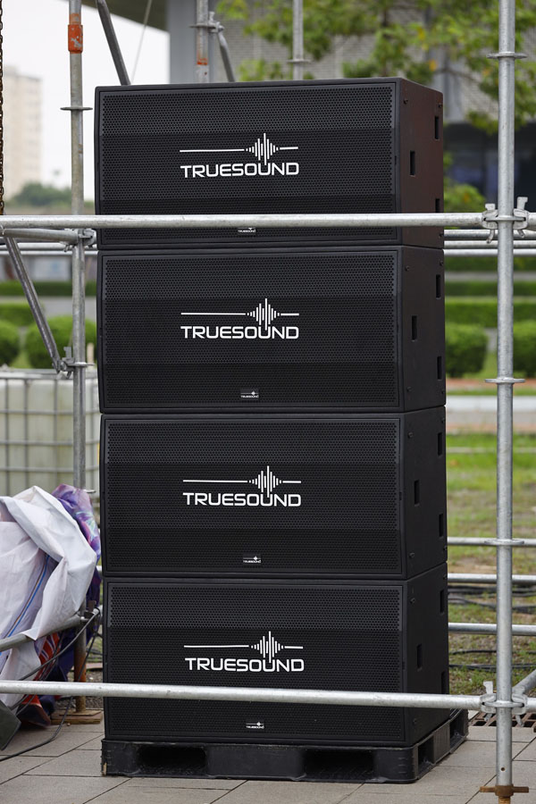 Ảnh minh họa Loa Sub kép 50 TRUESOUND CT218S 1