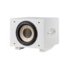 Loa Sub Rel S850 (Sub điện)