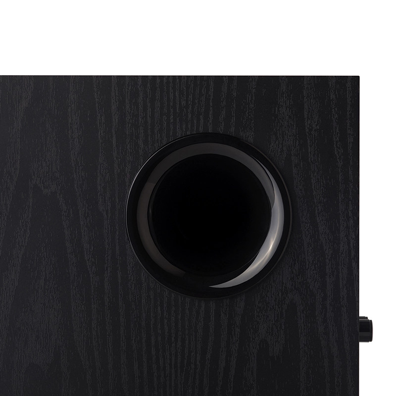 Ảnh minh họa Loa Sub T5 2