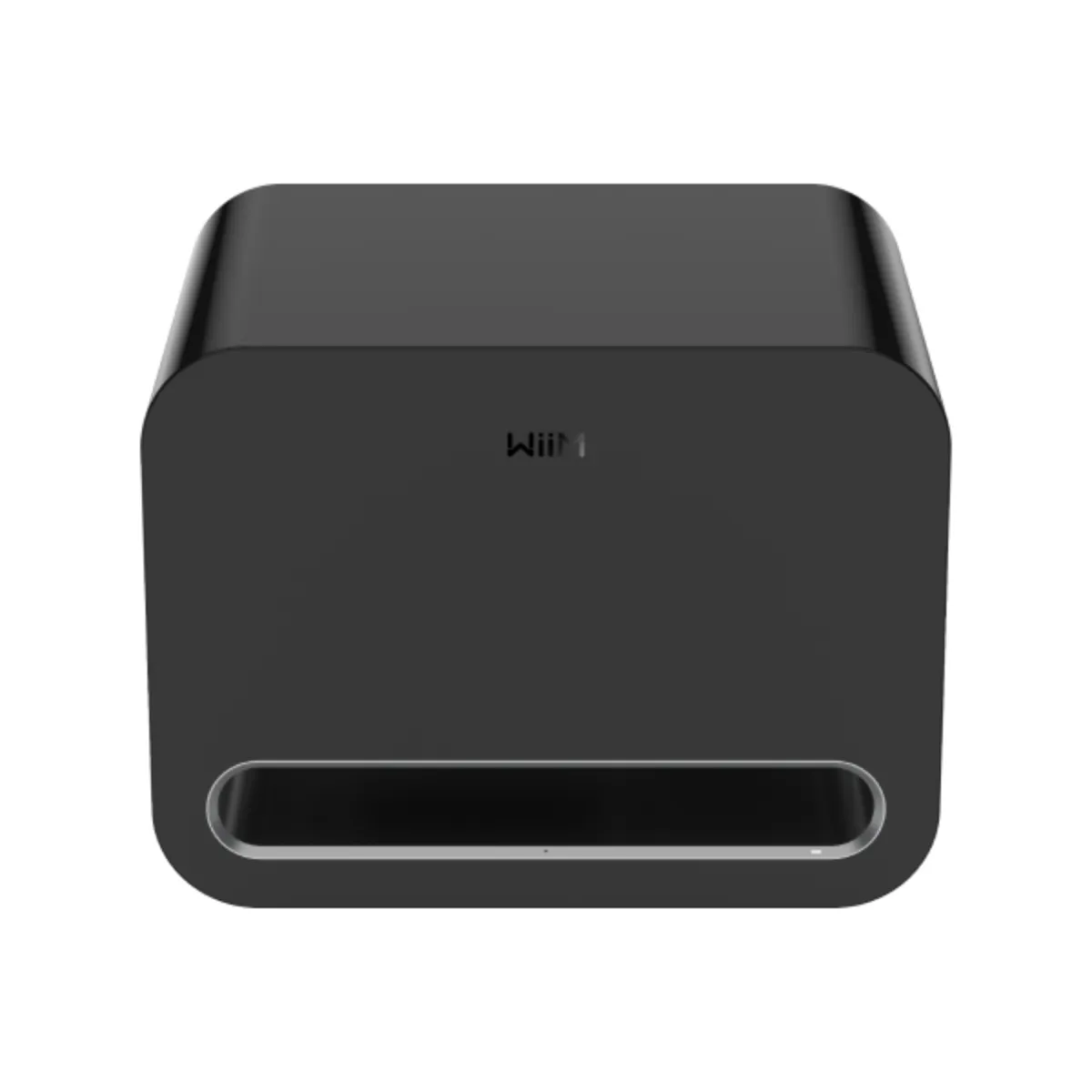Ảnh minh họa Loa Sub Wiim Sub Pro 1