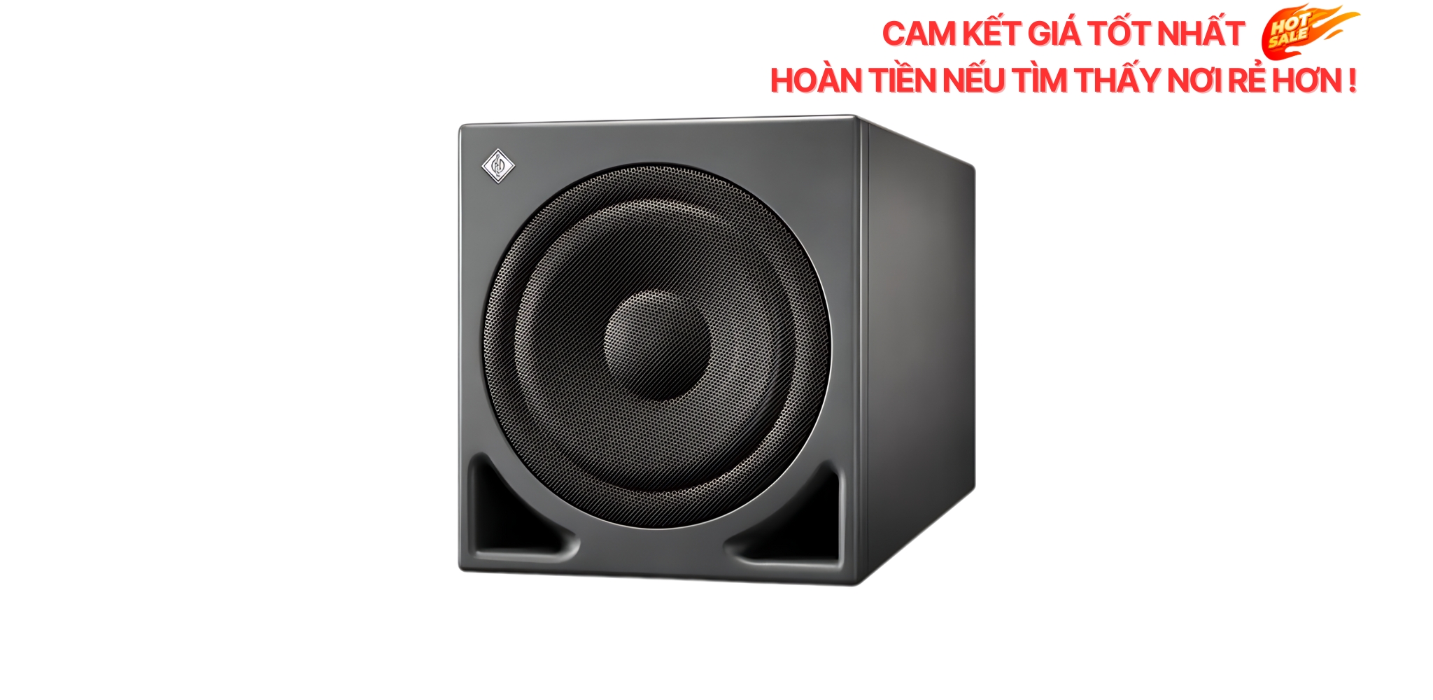 Ảnh minh họa Loa subwoofer kiểm âm Neumann KH 810 G 1