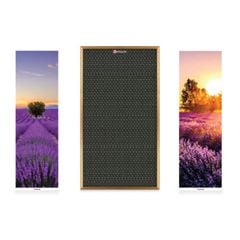  Loa Sumico Canvas 1216 (1 loa sub + 2 loa vệ tinh), Công suất 350W 