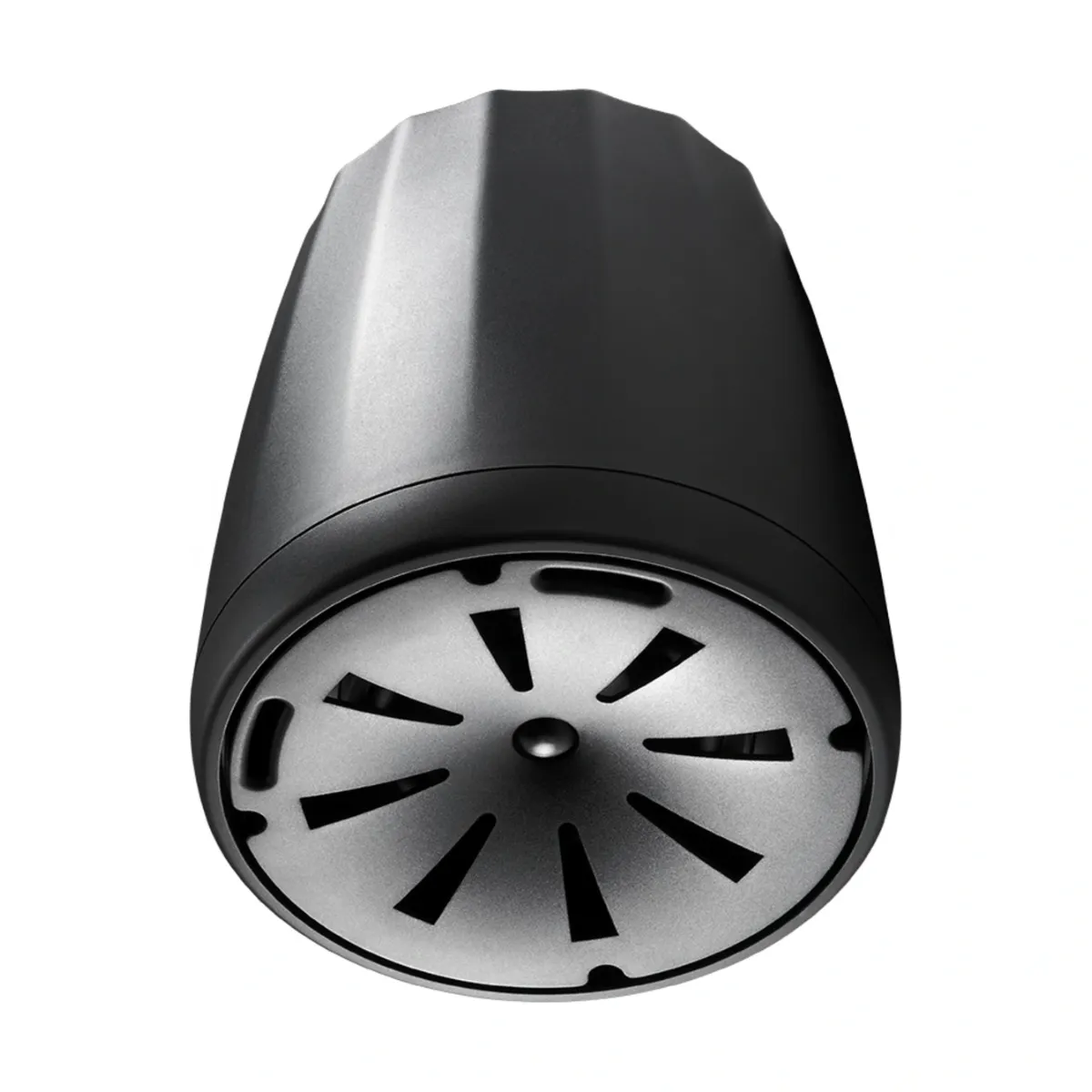 Ảnh minh họa Loa thả trần JBL Control 65 P/T 2