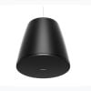Loa Treo Trần Bose Designmax DM10P Sub, Bass 25.4cm, 300W