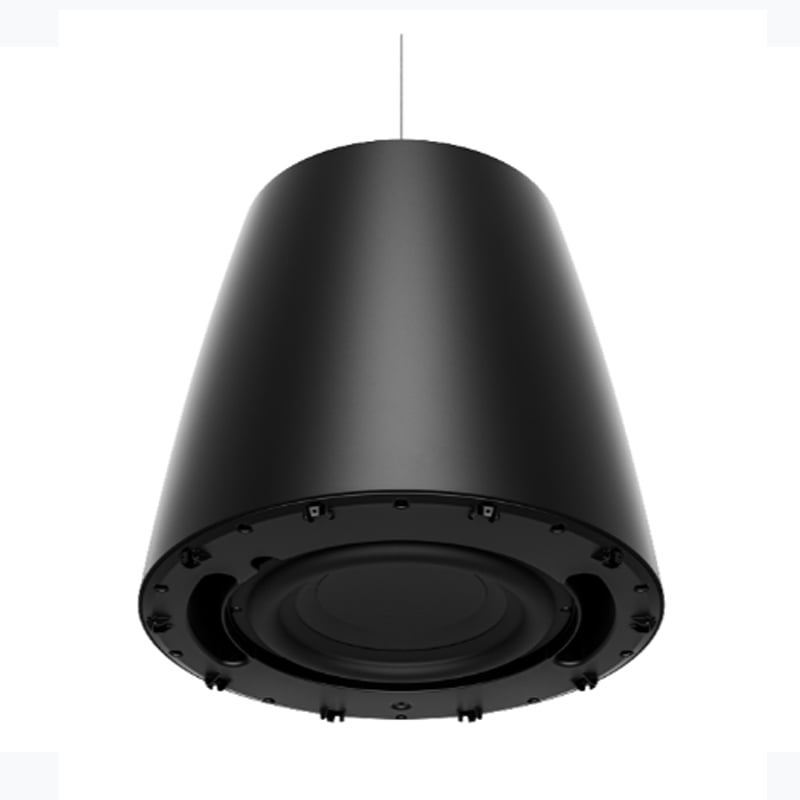 Ảnh minh họa Loa Treo Trần Bose Designmax DM10P Sub, Bass 25.4cm, 300W 2