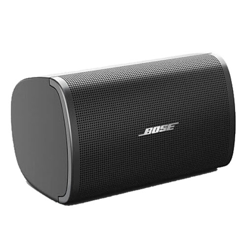 Loa treo tường Bose DesignMax DM6SE