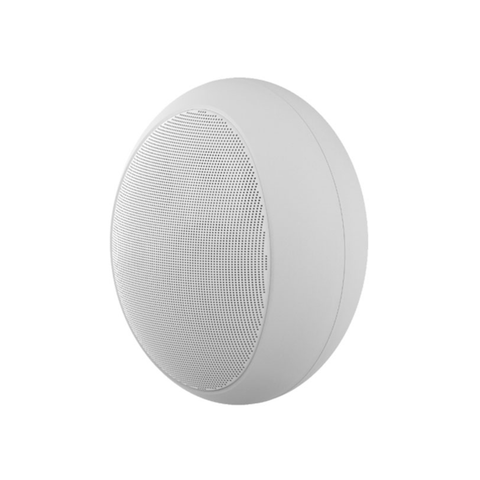 Loa treo tường ITC TS-605T (Bass/Mid 5.25 inch, 100W/400W )
