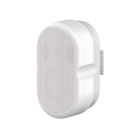 Loa Treo Tường ITC TS-605Y (Bass/Mid 5.25 inch, 100W/400W)