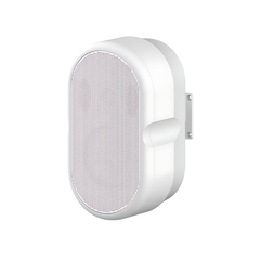  Loa Treo Tường ITC TS-605Y (Bass/Mid 5.25 inch, 100W/400W) 
