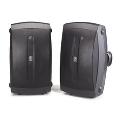  Loa treo tường Yamaha DM 100 