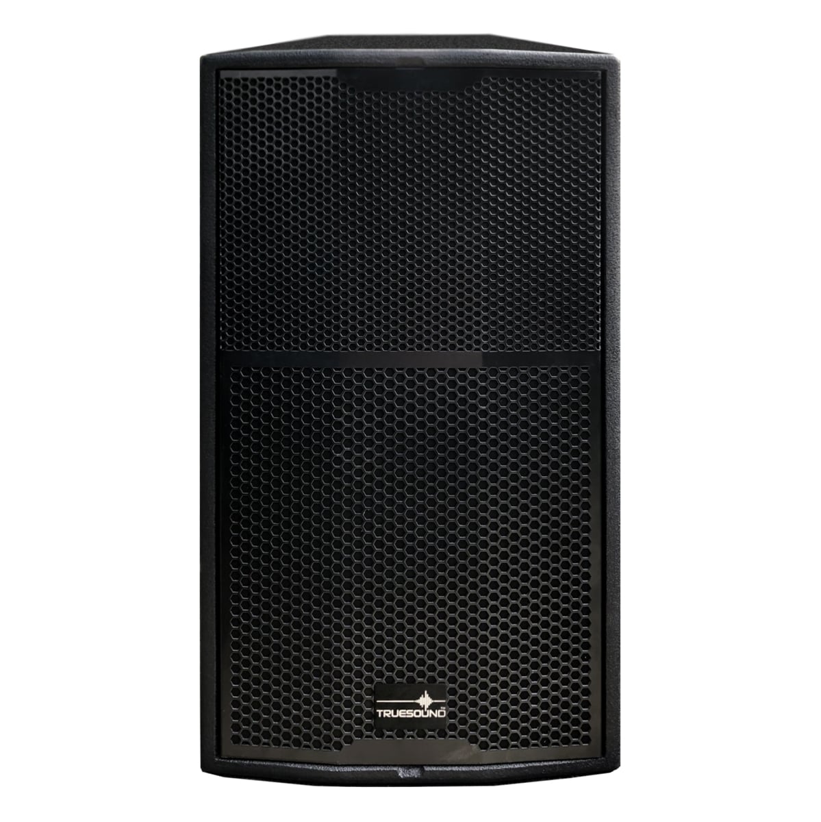 Ảnh minh họa Loa TRUESOUND TS12 Bass 30 2