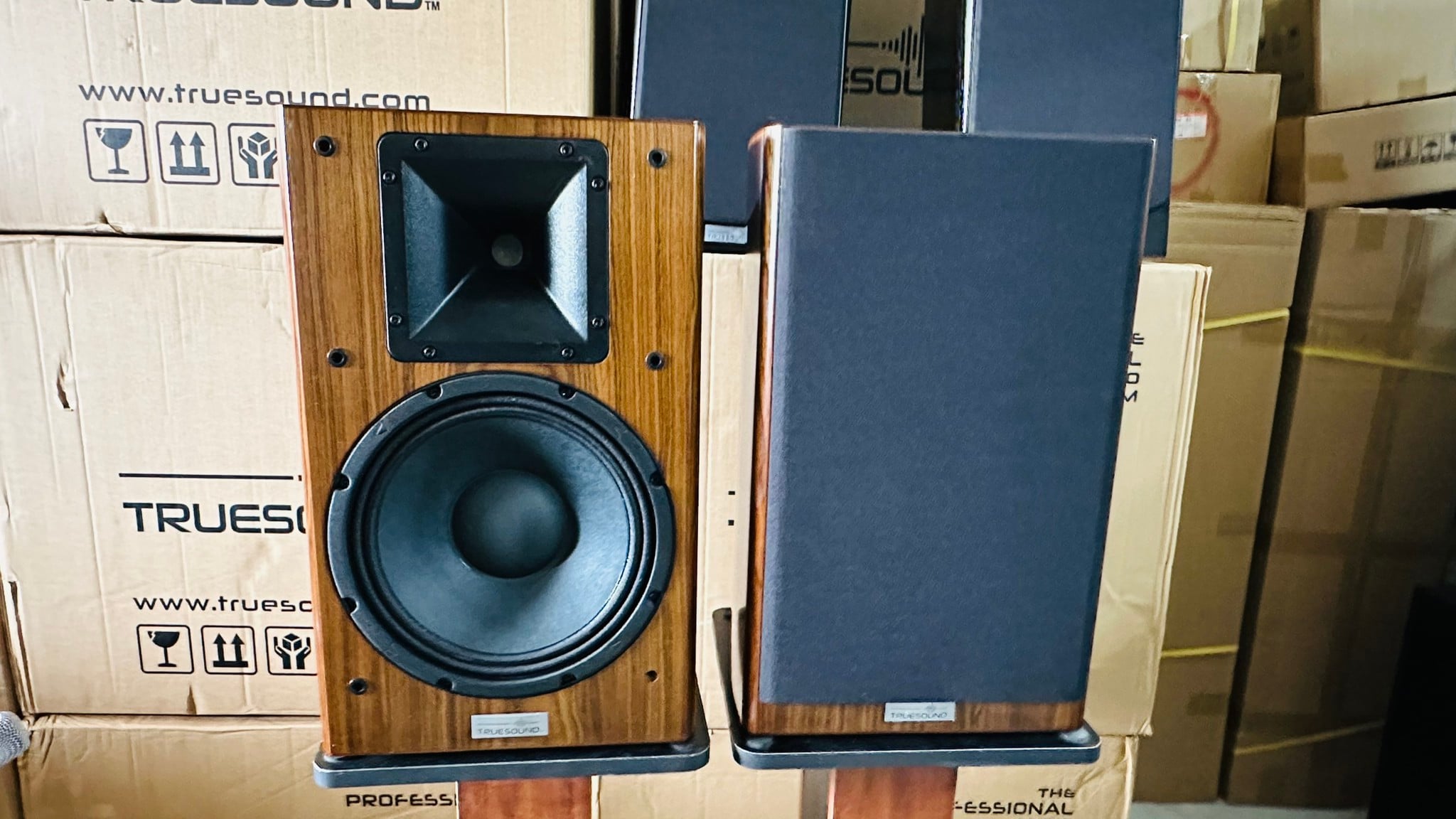 Ảnh minh họa LOA TRUESOUND VÂN GỖ LA10 2