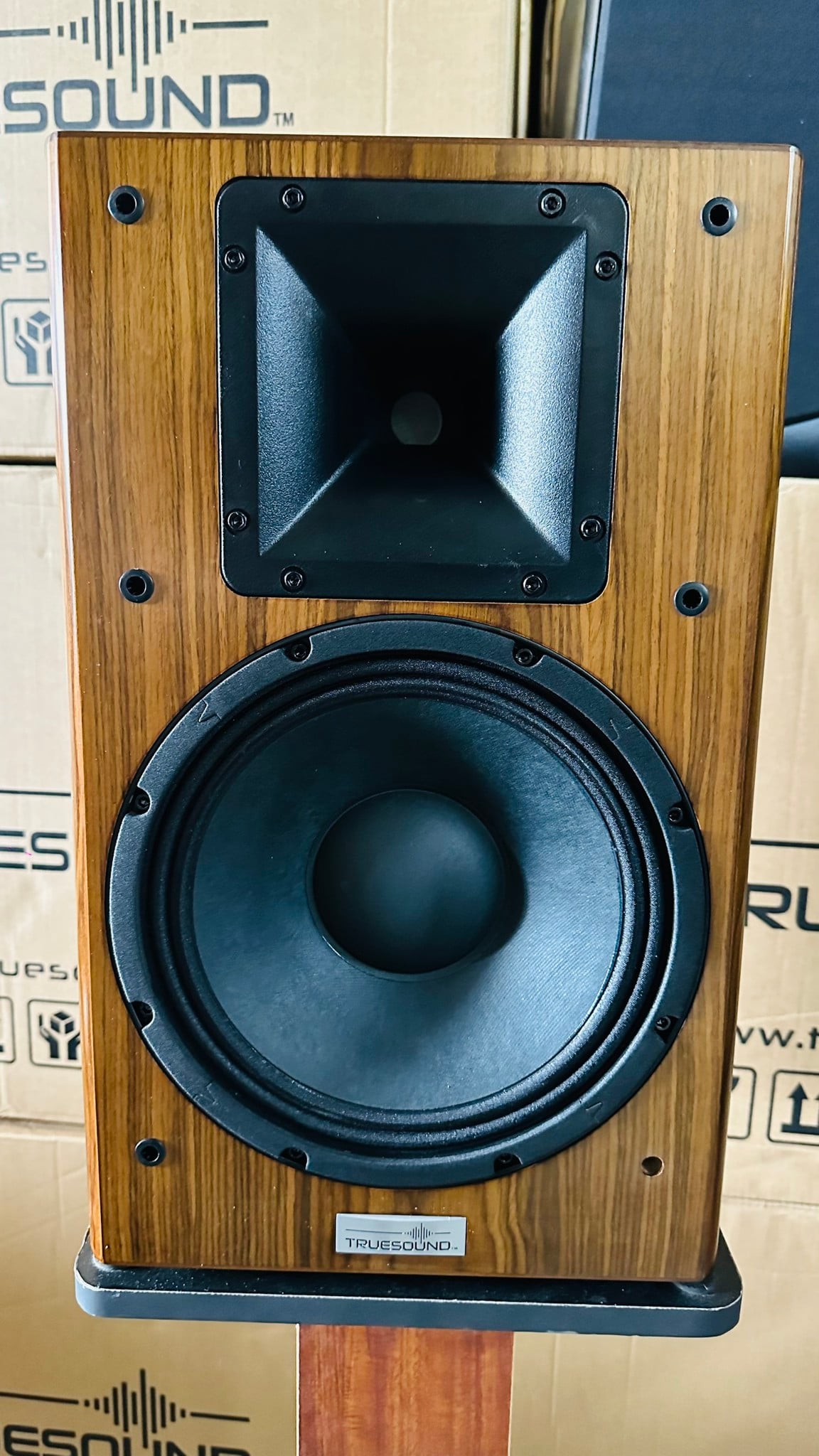 Ảnh minh họa LOA TRUESOUND VÂN GỖ LA10 3